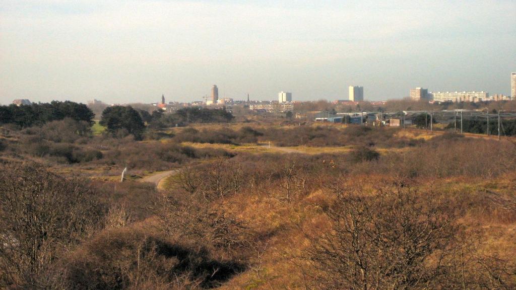 Continentaiz Appartement Zandvoort Esterno foto